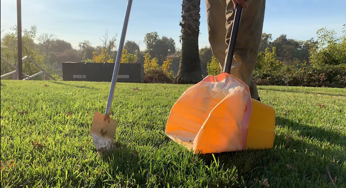 Residue Crew performing dog waste cleanup